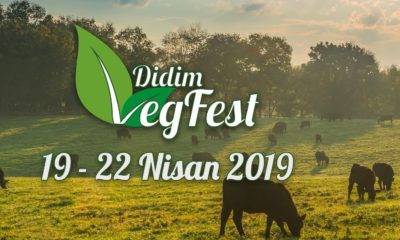 Didim Vegan Festivali 2019