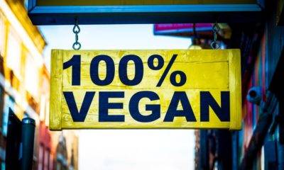 vegan derneği dünya vegan günü veganizm