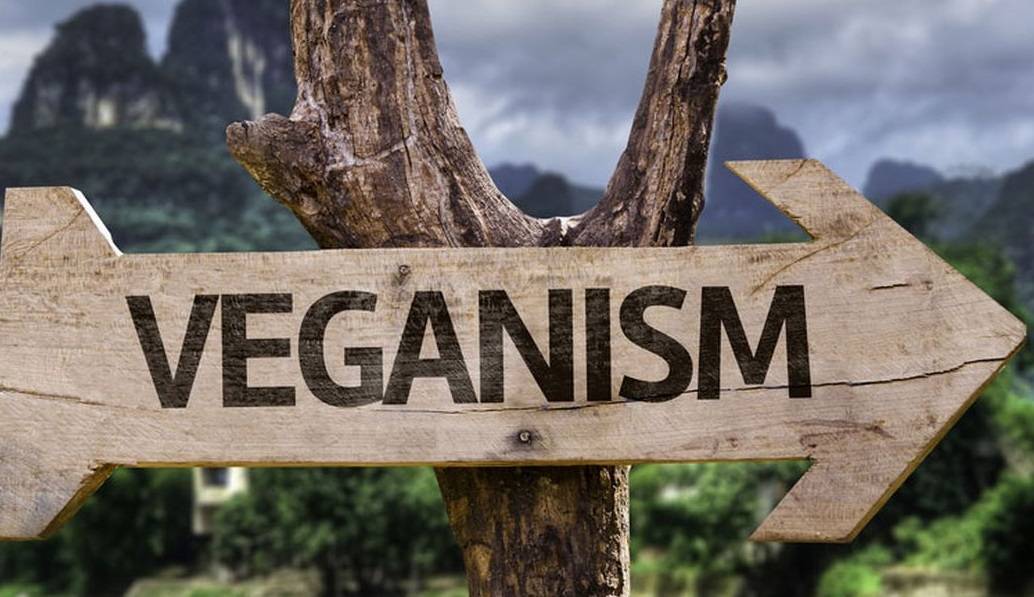 neden vegan veganlık