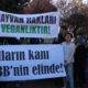 türkiye vegan derneği yaşam nöbeti