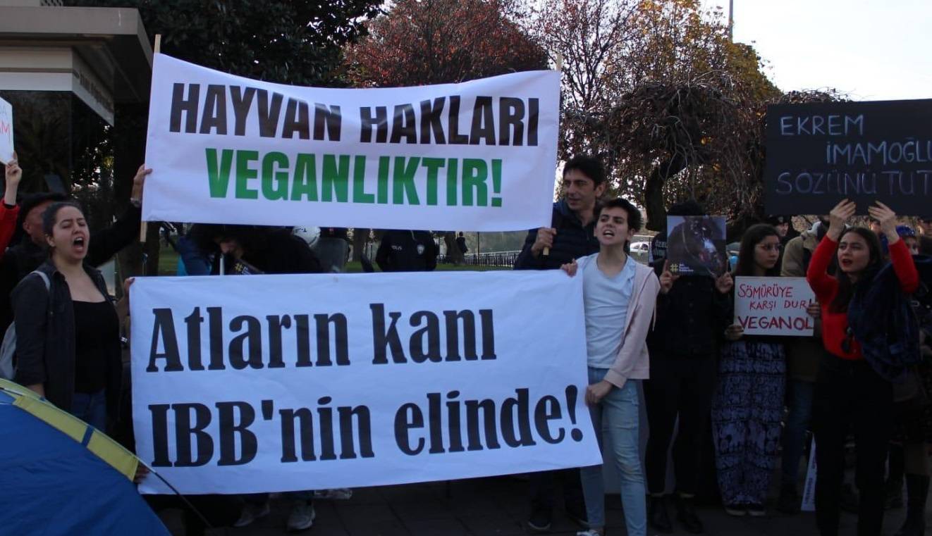 türkiye vegan derneği yaşam nöbeti