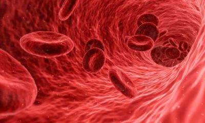 kan grubu kovid-19