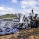 Mauritius adası çevre felaketi
