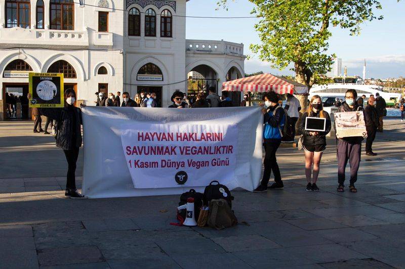Bağımsız hayvan hakları topluluğu dünya vegan günü