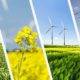 elektrik üretimi Cambridge Econometrics yenilenebilir enerji