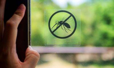 sivrisinek tehlikesi