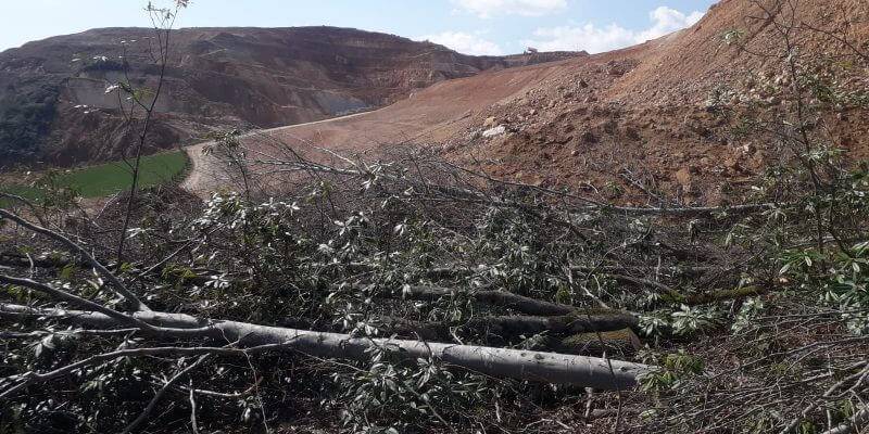 Ağaç Katliamına Devam Eden Maden Şirketine Köylülerden Tepki