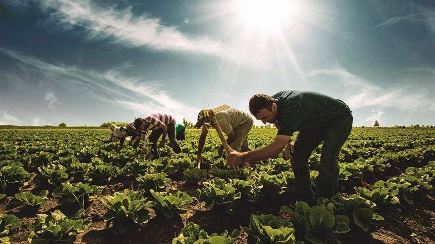 çiftçi-sen uluslararası çiftçi mücadeleleri günü 17 nisan