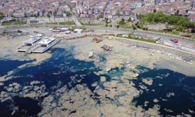 Marmara Denizi eylem planı