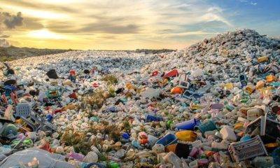 Çöp İthalatı Plastik Ambalaj