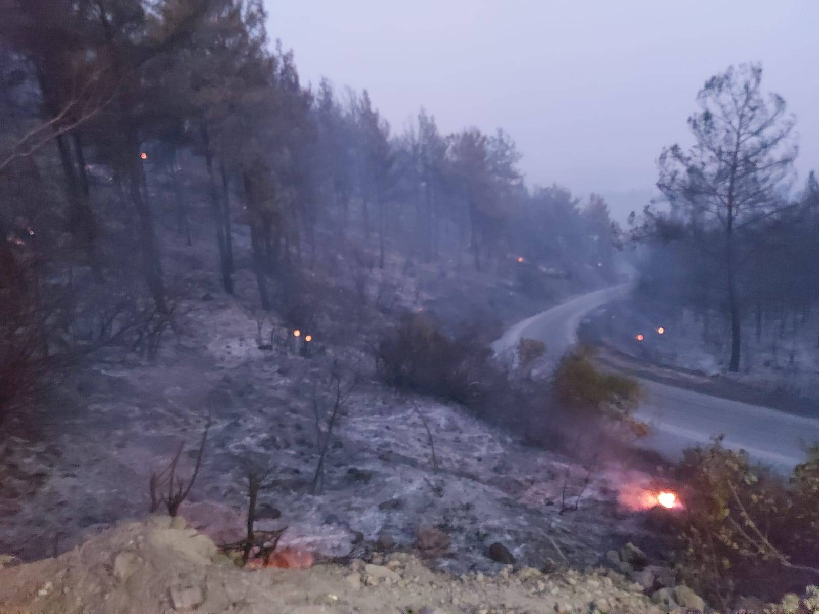 Manavgat Taşağıl Orman Yangını A Platformu