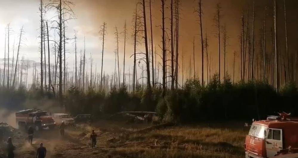 Sibirya rusya orman yangını