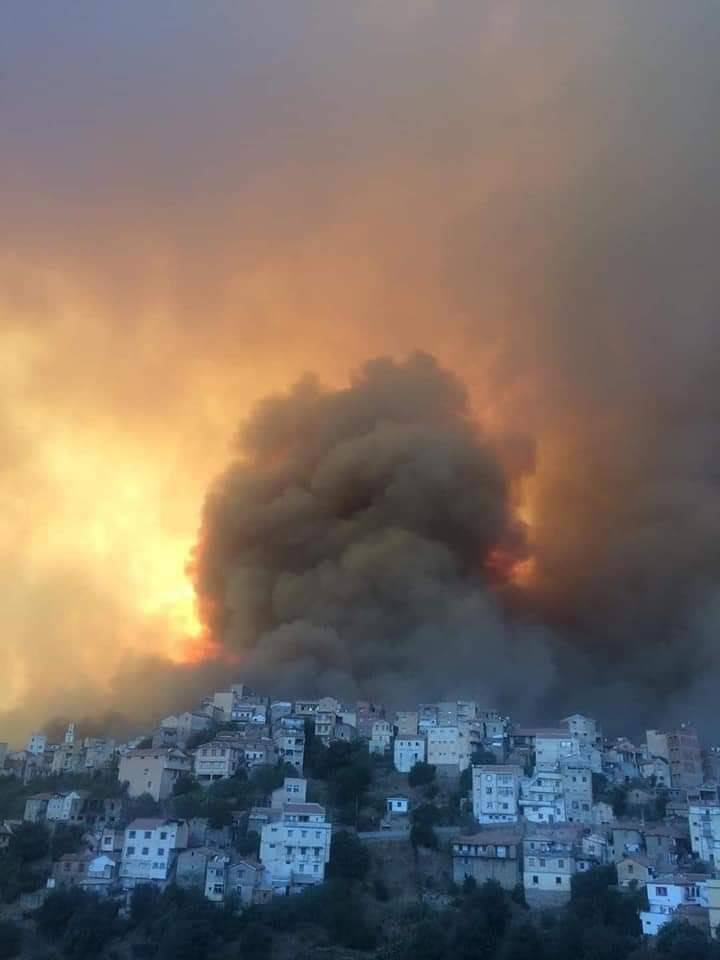 Cezayir yangın 