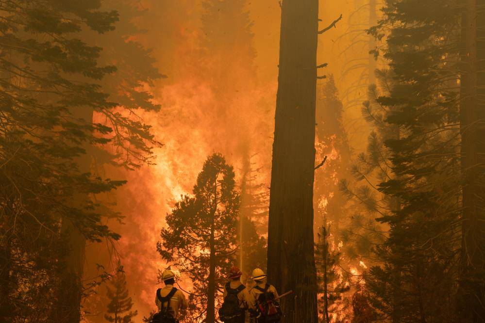 Kaliforniya yangınları