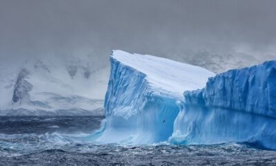 doğu antarktika buzul