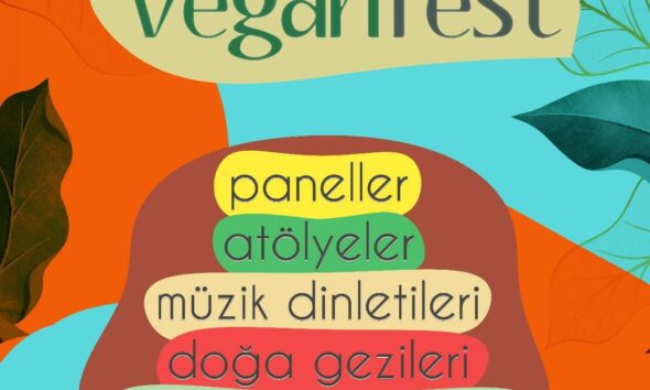 doğu karadeniz vegan festivali