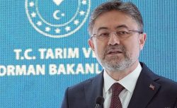 Bugün hesaplara yatıyor! Çiftçilere 349 milyon TL’lik destek ödemesi