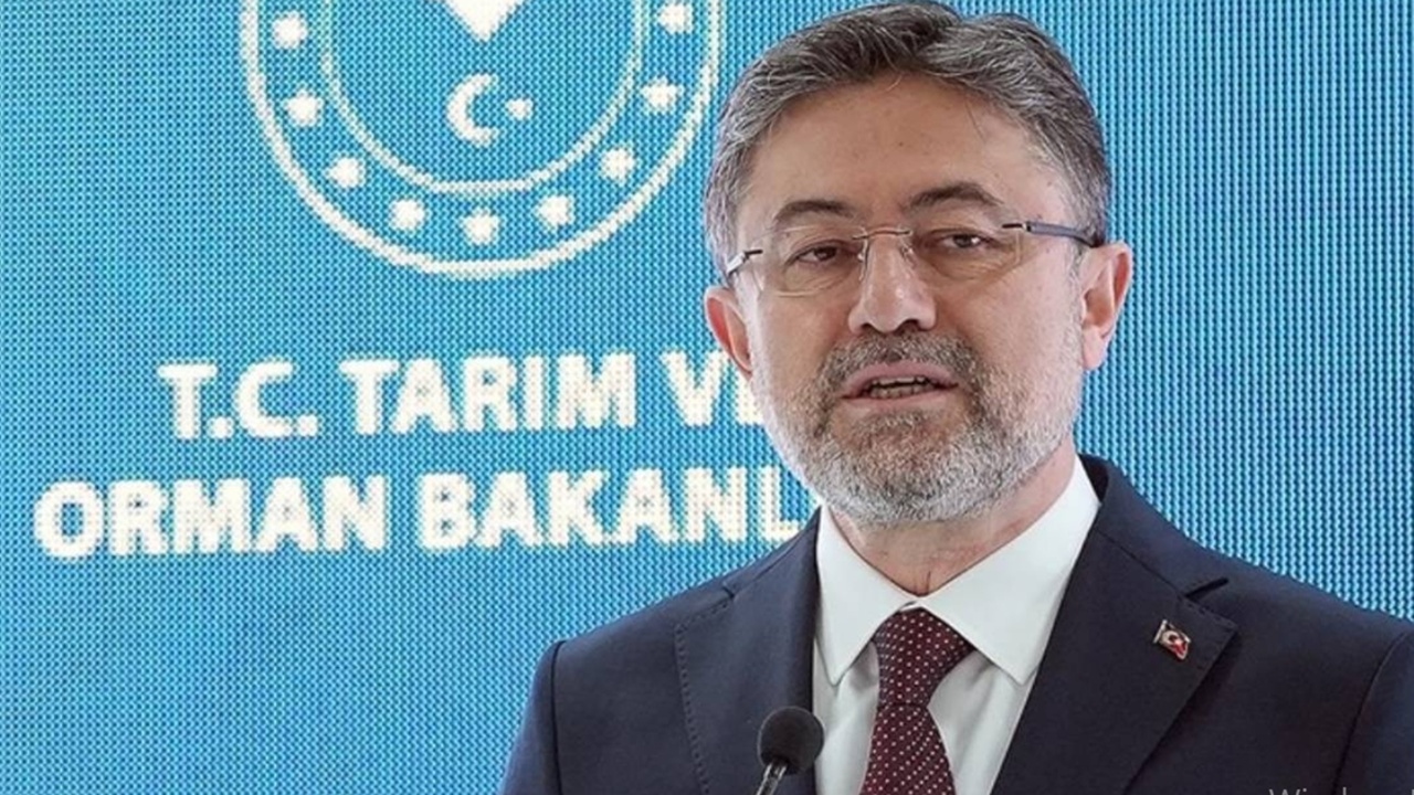 Bugün hesaplara yatıyor! Çiftçilere 349 milyon TL’lik destek ödemesi