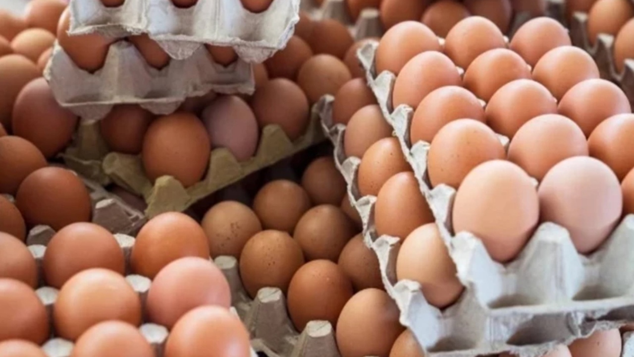 Yumurta fiyatlarına zam gelecek mi? Açıklama geldi